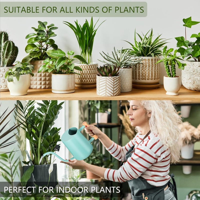 GUKJOB Watering Can Indoor Plants, 35oz Small Indoor Stainless Steel Metal Watering Can Modern Decorative Watering Pot with Long Spout for Indoor House Plant Bonsai Outdoor Garden Flowers -Green - Image 4